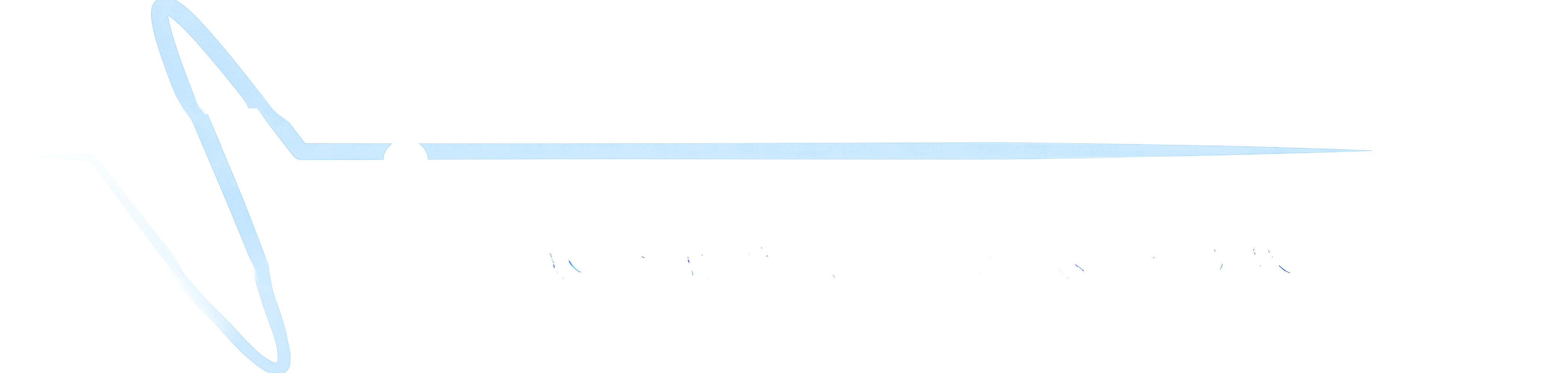 Sinewavesoft - POS & Retail Systems